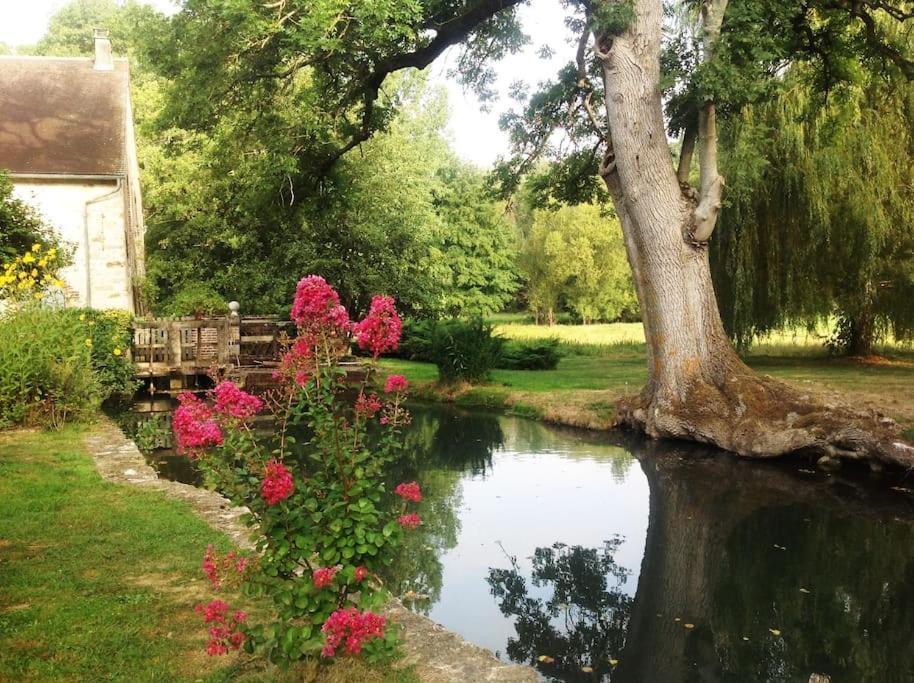 Villa Le Foulon - Moulin De Charme - 1 Heure 30 De Paris à Saint-Hilaire-les-Andresis Extérieur photo